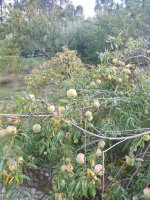20230915_175626.jpg 20230915_175626.jpg