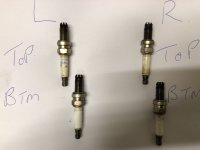 IMG_1366.jpeg