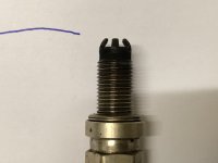 IMG_1367.jpeg