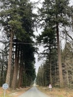 IMG_2186.jpeg