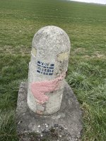 IMG_2189.jpeg