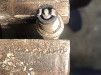 IMG_1369.jpeg