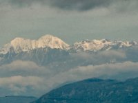 IMG_8802.jpeg
