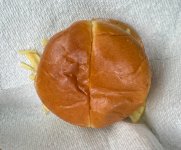 IMG_8937.jpeg