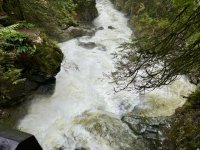 IMG_8963.jpeg