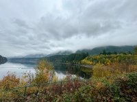 IMG_9037.jpeg