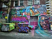 IMG_9113.jpeg