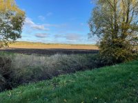 IMG_6084.jpeg