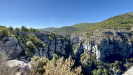 IMG_6799.jpeg
