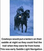 saddle.jpg saddle.jpg