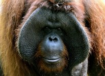 IMG_0704.jpeg