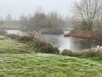 IMG_8585.jpeg