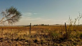 7610CDE7-F684-4E25-A93E-22B13D9DE14B.jpeg