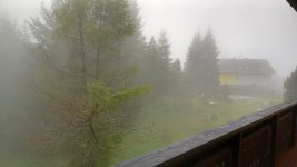 20230817_184841.jpg 20230817_184841.jpg