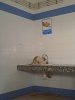 IMG_8695.jpeg