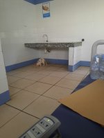 IMG_8694.jpeg