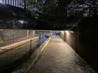 IMG_3231.jpeg