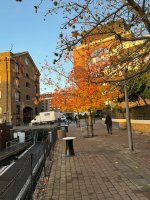 IMG_3209.jpeg
