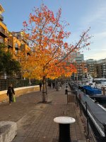IMG_3210.jpeg