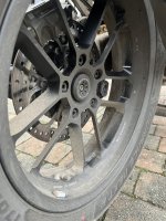IMG_2630.jpeg