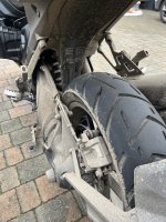 IMG_2625.jpeg