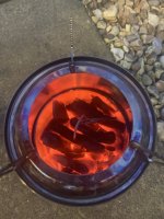 IMG_4039.jpeg