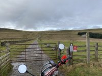 IMG_2745.jpeg