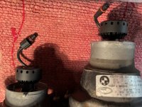 IMG_2056.jpeg