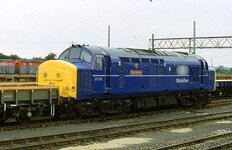 37216hoo.jpg