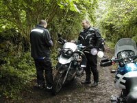 DSCN12222.jpg