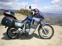 transalp.jpg