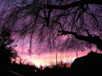 sun set2.jpg
