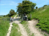 2004_0613image0173.jpg