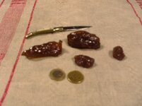 PetSealresin.JPG