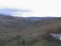20-04-06_1402.jpg