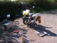 IMG_8192small.jpg