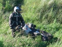 forry (Small).JPG