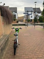IMG_3737.jpeg