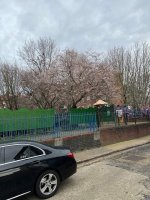 IMG_3744.jpeg