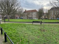 IMG_3745.jpeg