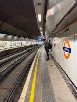 IMG_3761.jpeg