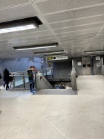 IMG_3764.jpeg