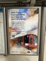IMG_3768.jpeg