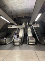 IMG_3771.jpeg