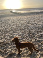 IMG_7723.jpeg