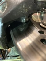 IMG_4186.jpeg