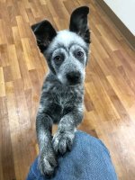 93E1DA88-5627-4D59-B4AC-8E174262A5D5.jpeg