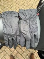 IMG_3943.jpeg