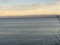 490C2329-3642-458F-A9DB-4155ABC204A6.jpeg
