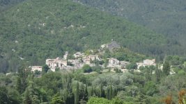 IMG_0242.JPG
